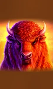 Buffalo 50